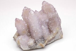 Large, Cactus Quartz (Amethyst) Crystal Cluster - South Africa #206118