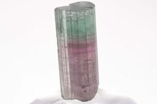Bicolor Elbaite Tourmaline Crystal - Aricanga Mine, Brazil #206242