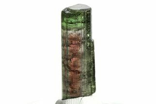 Bicolor Elbaite Tourmaline Crystal - Aricanga Mine, Brazil #206864