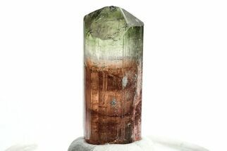 Bicolor Elbaite Tourmaline Crystal - Aricanga Mine, Brazil #206869