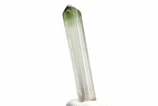 Bi-Colored Elbaite Tourmaline Crystal - Rubaya, DR Congo #206886