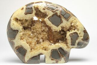 Calcite Crystal Filled, Polished Septarian Bear - Utah #207774