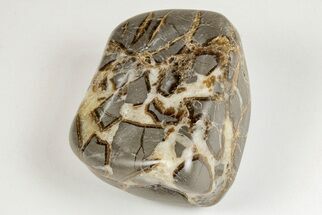 Wide, Polished Septarian Pebble - Utah #207824