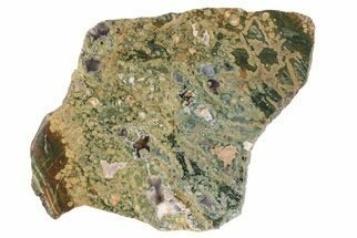 Polished Rainforest Jasper (Rhyolite) Slab - Australia #208125