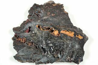 Polished Reticulated Hematite Slab - Western Australia #208224
