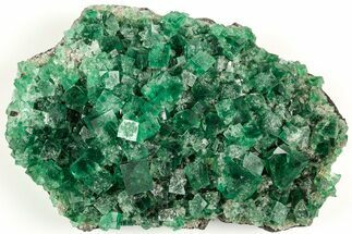 Fluorescent Green Fluorite Cluster - Diana Maria Mine, England #208844
