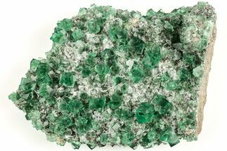 Fluorescent Green Fluorite Cluster - Diana Maria Mine, England #208863
