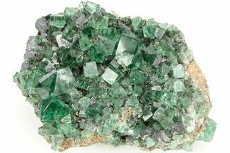 Fluorescent Green Fluorite w/ Galena - Diana Maria Mine, England #208882