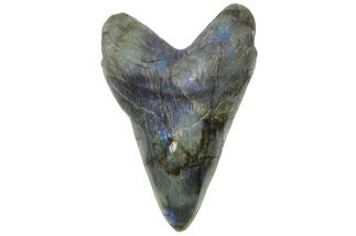Realistic, Carved Labradorite Megalodon Tooth - Replica #209251