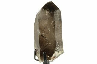 Impressive, Smoky Quartz Crystal With Metal Stand #209253