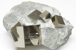 Four, Shiny, Natural Pyrite Cubes in Rock - Navajun, Spain #208957