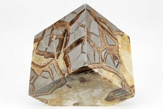 Wide, Polished Septarian Cube - Utah #207789