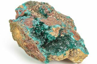 Sparkling Dioptase Crystals with Mimetite - N'tola Mine, Congo #209691