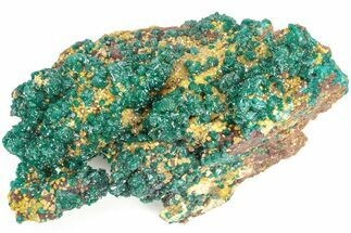 Sparkling Dioptase Crystals On Mimetite - N'tola Mine, Congo #209707