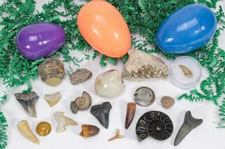 Fossil Filled Easter Eggs! - Pack #210383