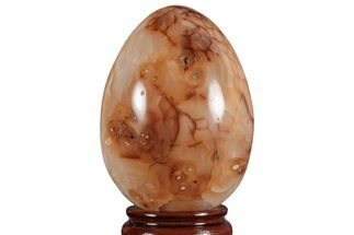 Colorful, Polished Carnelian Agate Egg - Madagascar #210047