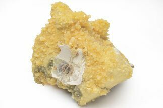 Fluorescent, Yellow Calcite Crystal Cluster - South Dakota #209719