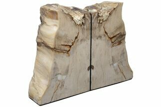 Tall, Petrified Wood Bookends - Washington #210847