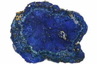 Vivid Blue, Cut/Polished Azurite Nodule Slice - Siberia #209504