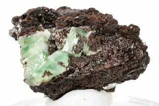 Cuprian Adamite Crystals on Matrix - Ojuela Mine, Mexico #211969