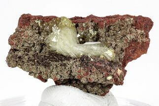Gemmy Adamite Crystals on Matrix - Ojuela Mine, Mexico #211982