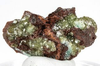 Gemmy Adamite Crystals on Matrix - Ojuela Mine, Mexico #211984