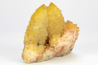 Sunshine Cactus Quartz Crystal Cluster - South Africa #212664