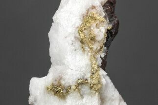 Native Gold Formation in Quartz - Morocco #213533
