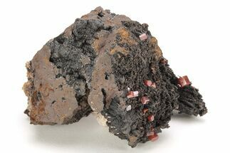 Small, Red Vanadinite Crystals on Manganese Oxide - Morocco #212005