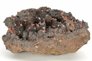 Small, Red Vanadinite Crystals on Manganese Oxide - Morocco #212007