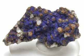 Vivid-Blue Azurite Encrusted Quartz Crystals - China #213825