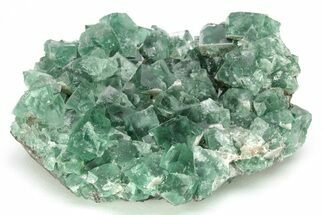 Fluorescent Green Fluorite Cluster - Diana Maria Mine, England #208874