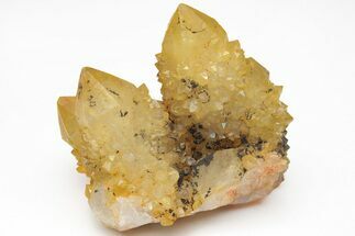 Sunshine Cactus Quartz Crystal Cluster - South Africa #212661