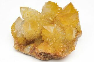 Sunshine Cactus Quartz Crystal Cluster - South Africa #212682