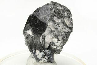 Buy Wodginite