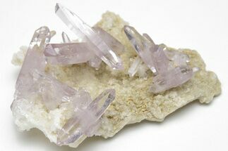 Amethyst Crystal Cluster - Las Vigas, Mexico #204538