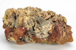 Vanadinite & Wulfenite Crystal Association - Nevada #214825