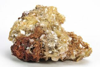 Yellow Wulfenite Crystal Cluster - Nevada #214828