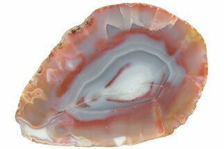 Colorful, Polished Patagonia Agate - Highly Fluorescent! #214917