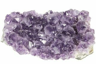 Sparking, Purple, Amethyst Crystal Cluster - Uruguay #215230