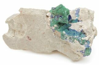 Fibrous Malachite Crystals & Azurite on Matrix - Morocco #215037