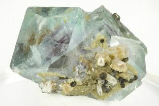Green Cubic Fluorite Crystal Cluster with Pyrite - Yaogangxian Mine #215787