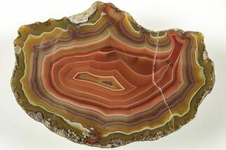 Colorful, Polished Condor Agate - Argentina #207253