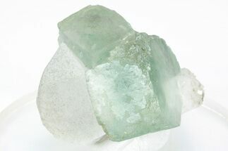 Green, Cubic Fluorite Crystals on Quartz - Inner Mongolia #216766