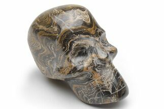 Polished Stromatolite (Greysonia) Skull - Bolivia #216719