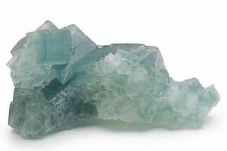 Cubic, Blue-Green Fluorite Crystal Cluster with Phantoms - China #217440