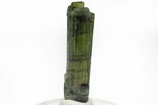 Gemmy, Green Elbaite Tourmaline - Cruzeiro Mine, Brazil #217577