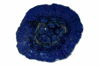 Vivid Blue, Cut/Polished Azurite Nodule Slice - Siberia #209522