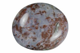 Polished Ocean Jasper Stone - New Deposit #218142