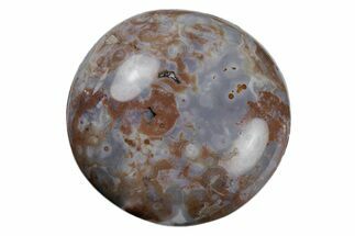 Polished Ocean Jasper Stone - New Deposit #218149